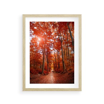 Plakat w ramie 30x40 - Magia jesiennego lasu - las, jesień - rama drewno