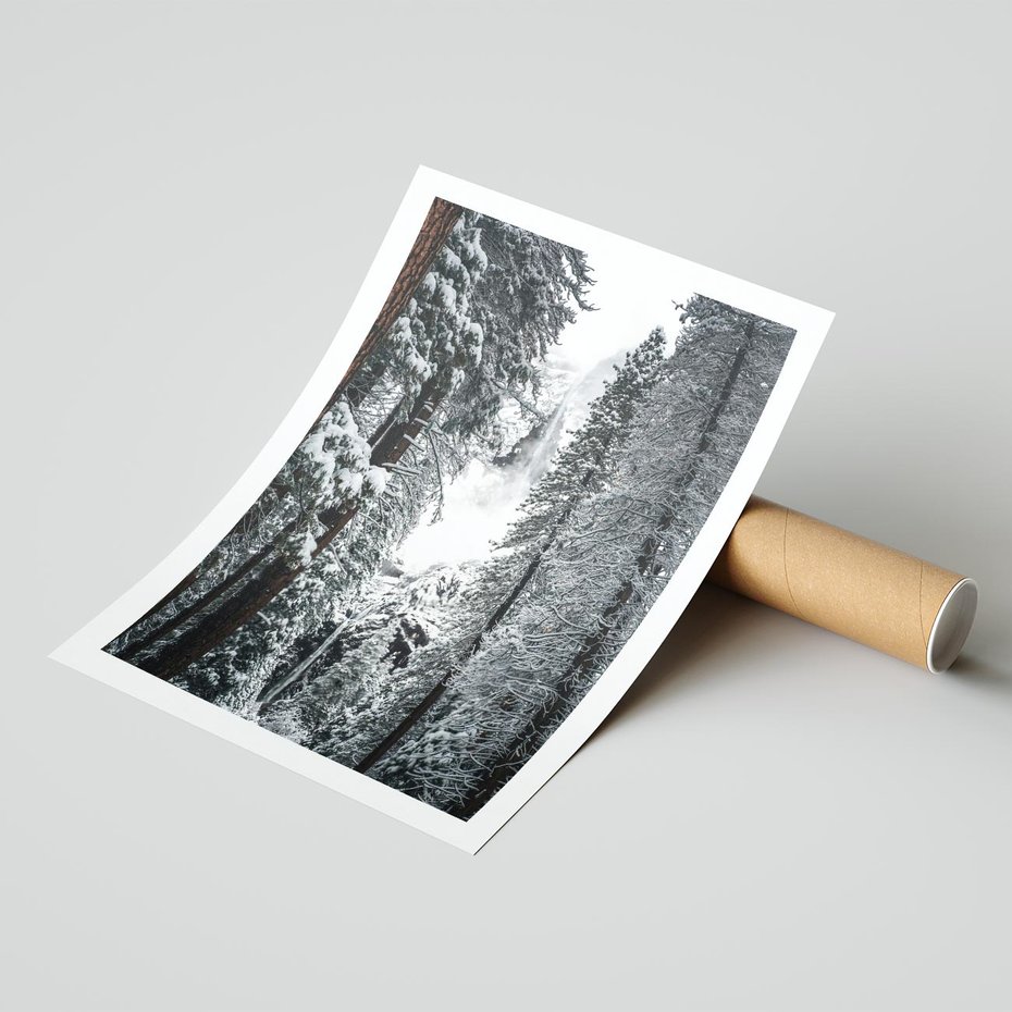 Plakat bez ramy 30x40 - Cicha Magia Zimowego Lasu - zimowy las, ośnieżone drzewa