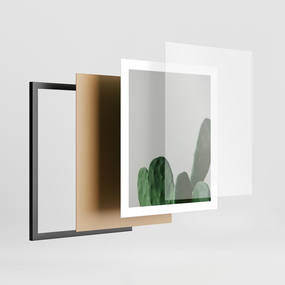 Plakat w ramie 40x50 - Majestatyczne Wysokości - kaktusy, liście - rama czarna