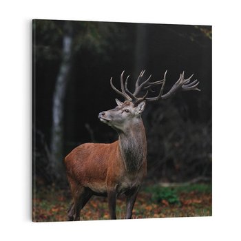 Obraz na płótnie 40x40 - Spotkanie z naturą - jeleń, las