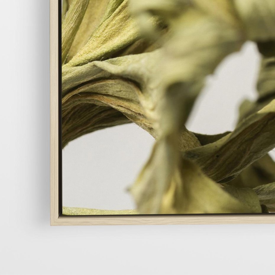 Obraz w ramie 70x50 - Odejście pory deszczowej - suche, trawy - rama drewno