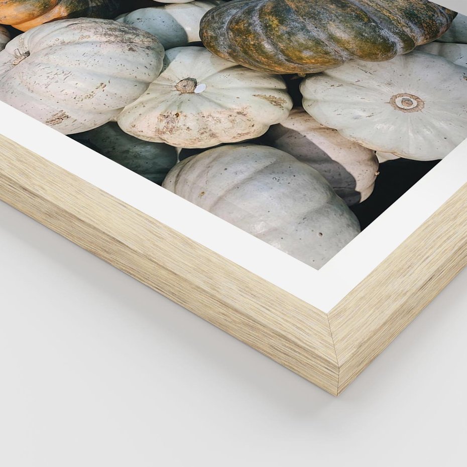 Plakat w ramie 50x70 - Minimalizm Jesieni - dynie, białe - rama drewno