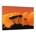 Obraz na płótnie 70x50 - Magiczne Drzewa na Tle Rozległej Sawanny - drzewa, sawanna