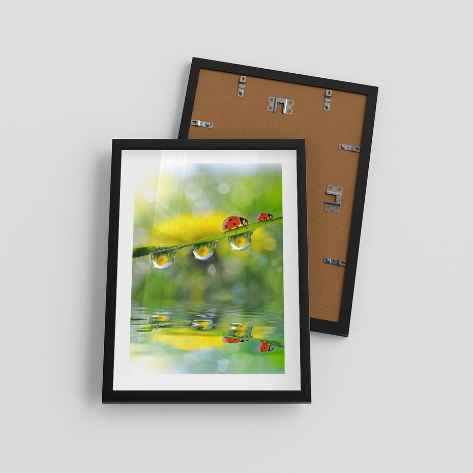Plakat w ramie 30x40 - Deszczowa Biedronka - biedronka, deszcz - rama czarna