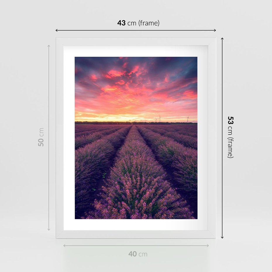 Plakat w ramie 40x50 - Różowe Niebo nad Polami - pola lawendy, zachód słońca - rama biała