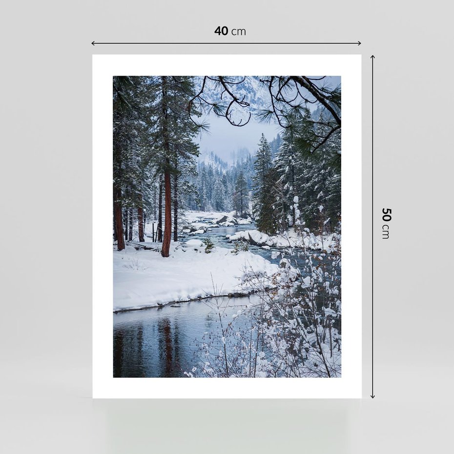 Plakat bez ramy 40x50 - Śnieżne cuda - zima, las