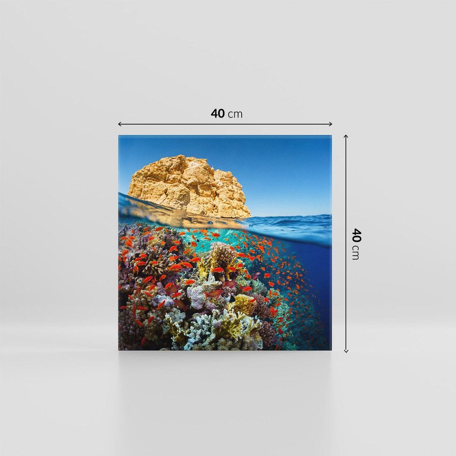 Obraz na płótnie 40x40 - Rafa koralowa w oceanie - rafa, koralowa