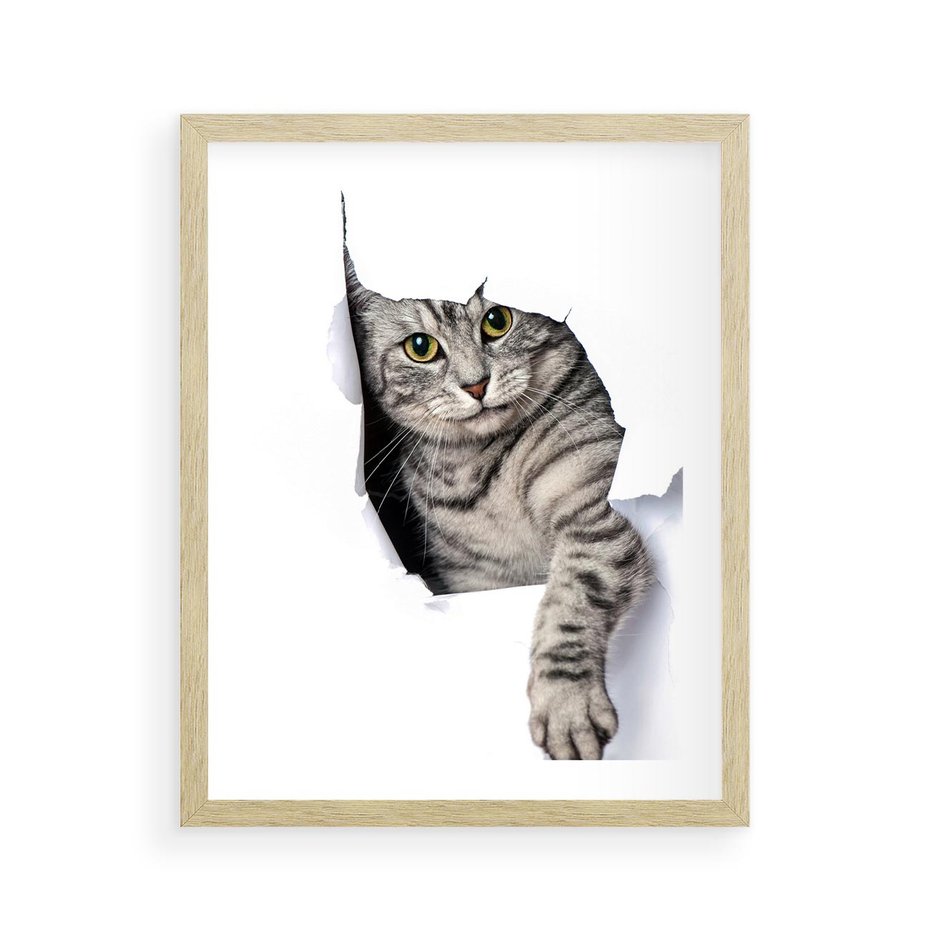 Plakat w ramie 40x50 - Tajemniczy kot i jego świat - kot, dziura - rama drewno