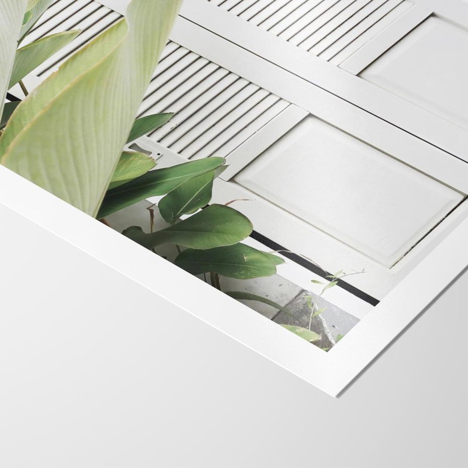 Plakat bez ramy 50x70 - Tropikalne Okno - białe okiennice, zielona tropikalna roślina