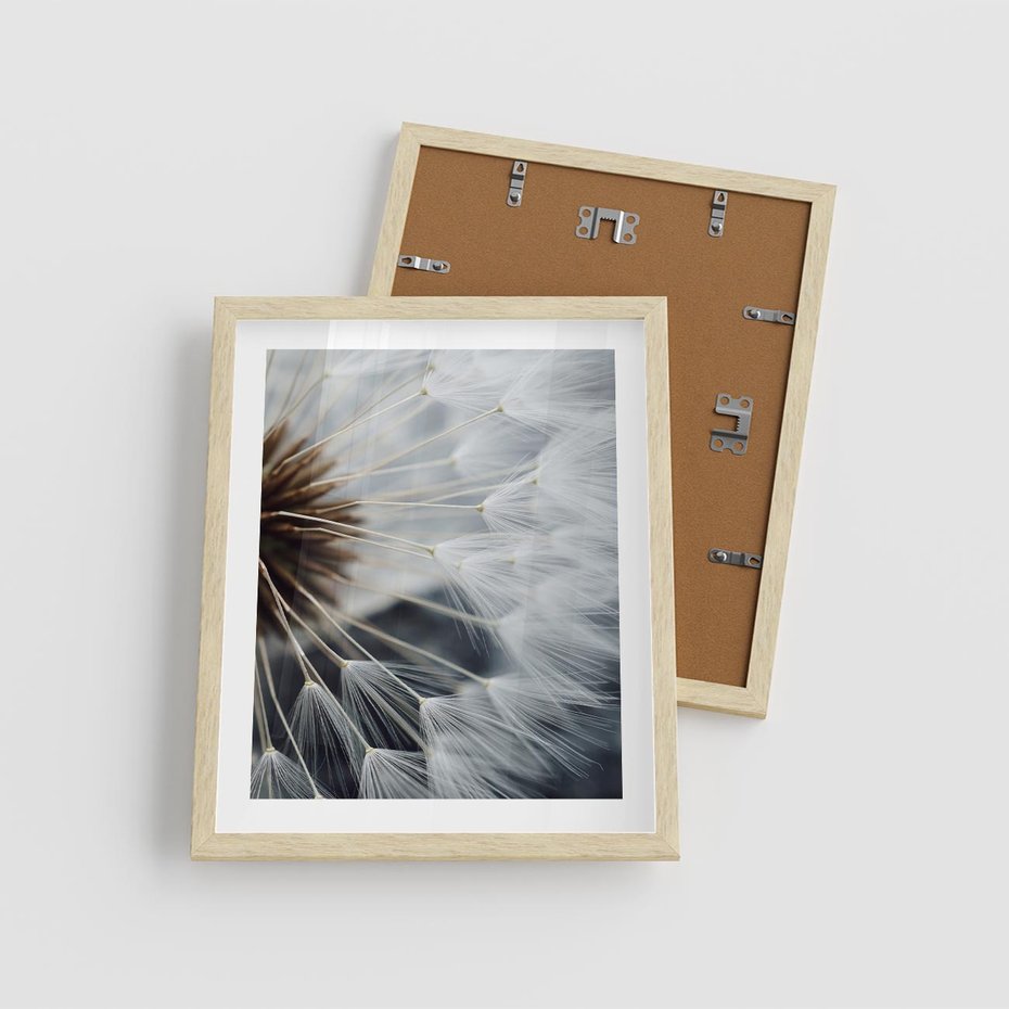 Plakat w ramie 40x50 - Dmuchawce w Naturze - dmuchawiec, zbliżenie - rama drewno