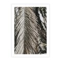 Plakat bez ramy 21x30 - Egzotyczne Gałęzie - suche gałęzie, liście palmy