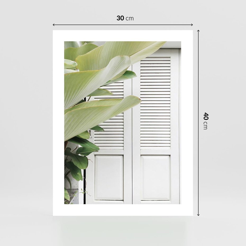 Plakat bez ramy 30x40 - Tropikalne Okno - białe okiennice, zielona tropikalna roślina