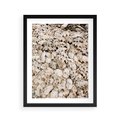 Plakat w ramie 40x50 - Symfonia Natury - kompozycja z białych muszli - rama czarna