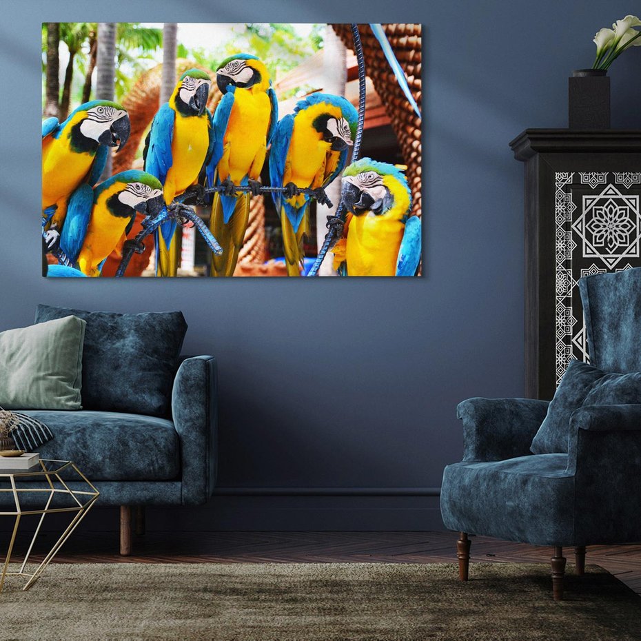 Obraz na płótnie 70x50 - Kolorowa parada papug - papuga, papugi