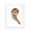 Plakat w ramie 40x50 - Kot w Dziurze - kot, dziura - rama biała