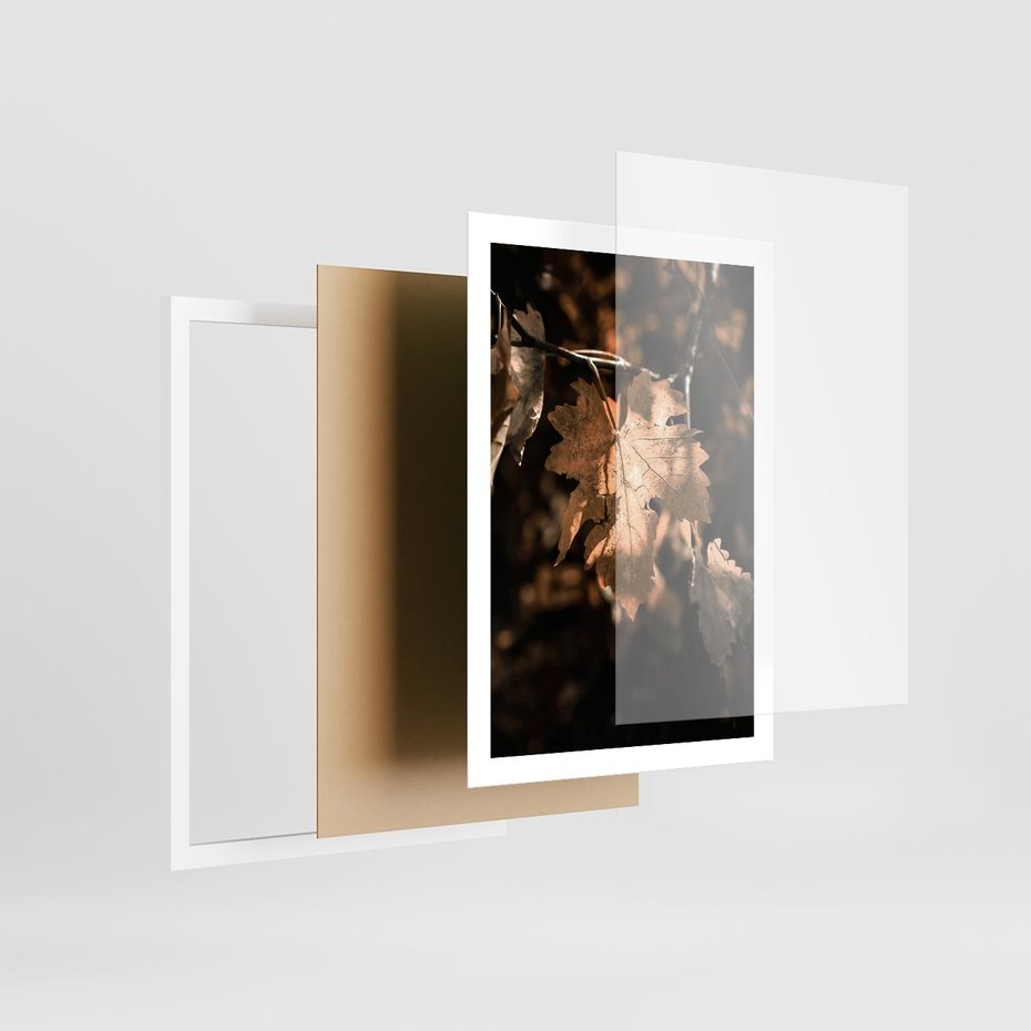 Plakat w ramie 50x70 - Uroczy Liść na Drzewie - jesienny liść, żółty liść na drzewie - rama biała