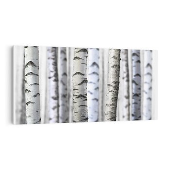 Obraz na płótnie 120x60 - Delikatność brzóz - brzozy, las