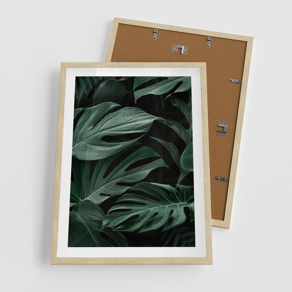 Plakat w ramie 50x70 - Zielone Liście Monstery w Dżungli - zielone liście monstery, dżungla - rama drewno