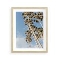 Plakat w ramie 40x50 - Pod Niebem Palmy - palmy na niebieskim niebie - rama drewno