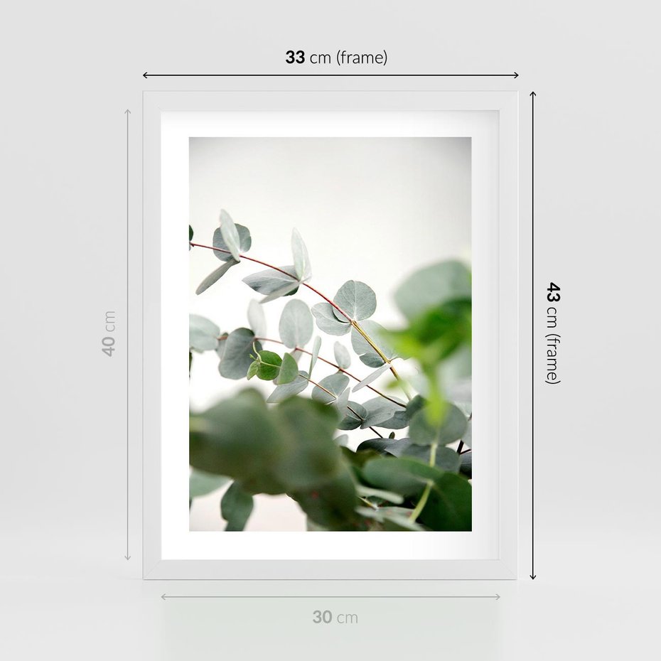 Plakat w ramie 30x40 - Zielony Świat Eukaliptusa - eukaliptus, fotografia - rama biała
