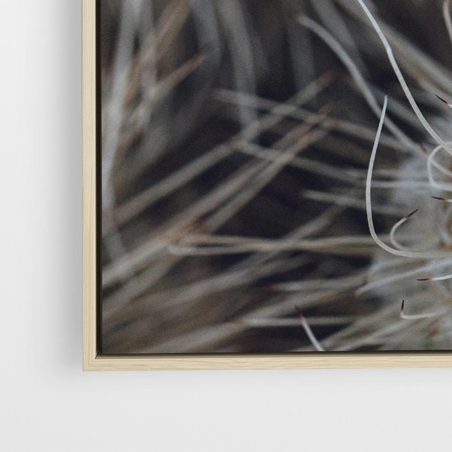 Obraz w ramie 100x70 - Ulotna Piękność Natury - makro, dmuchawce - rama drewno