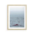 Plakat w ramie 30x40 - Spotkanie z Orką - morze, ocean - rama drewno