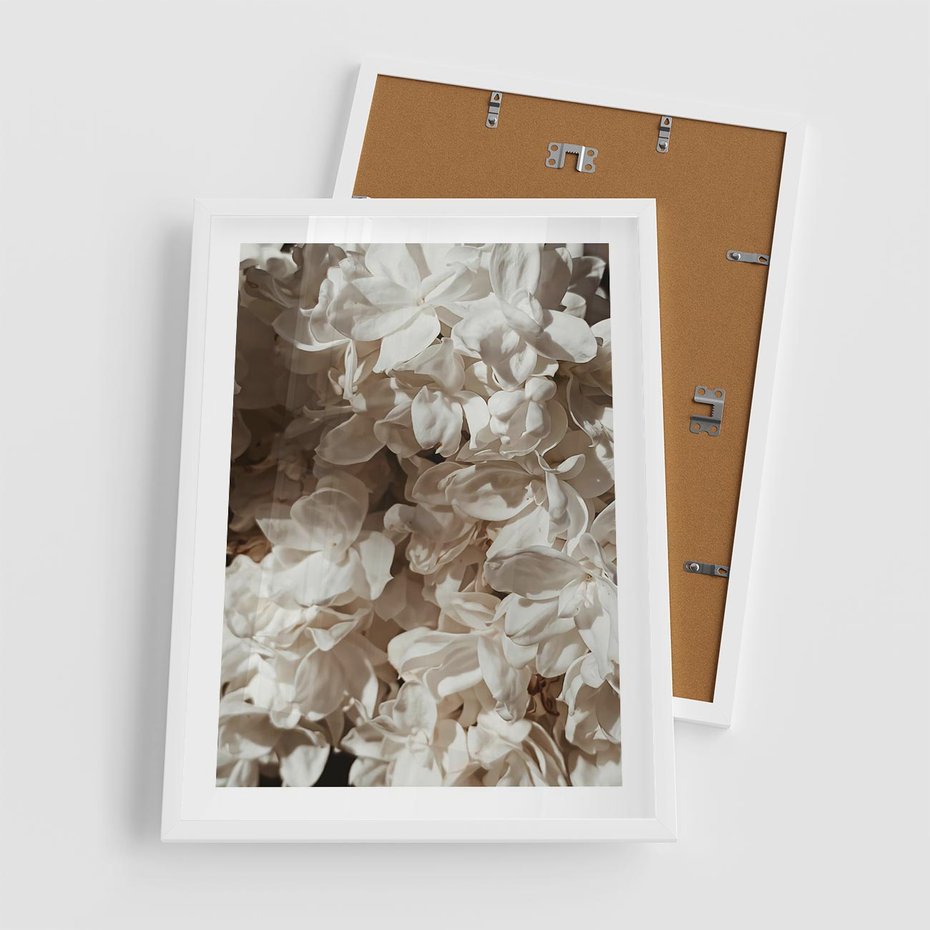 Plakat w ramie 50x70 - Płatki w Detalu - białe kwiaty, zbliżenie - rama biała