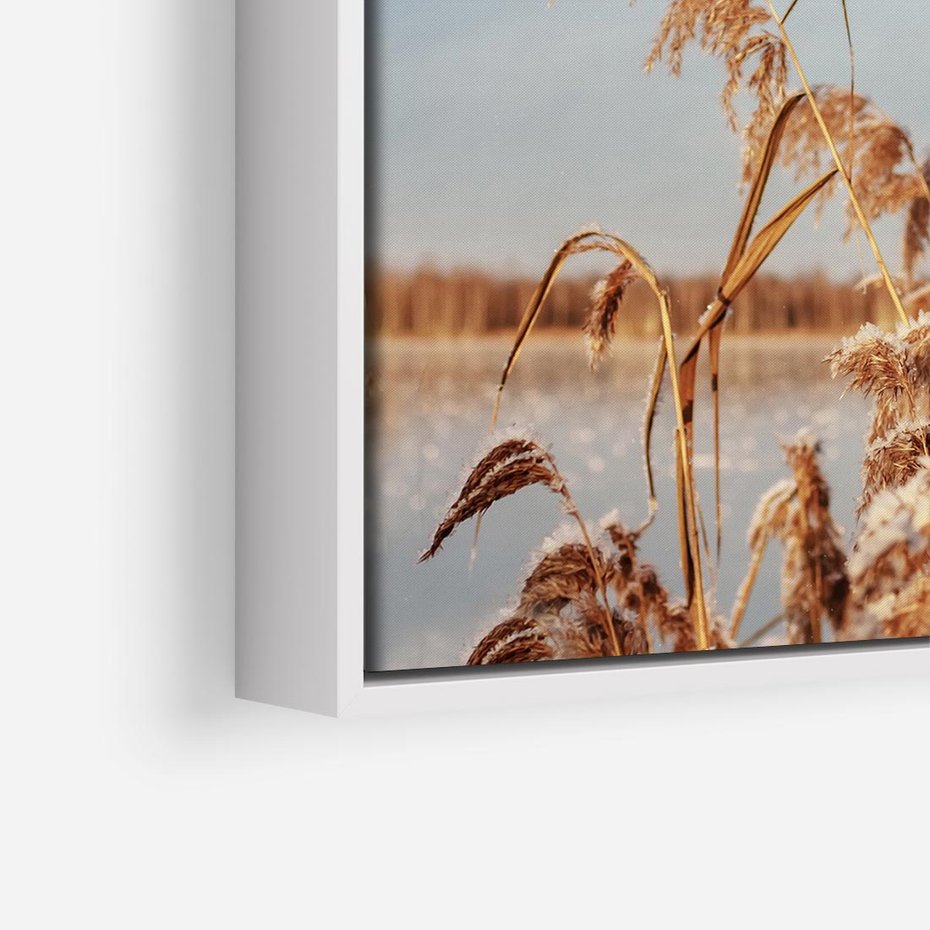 Obraz w ramie 80x80 - Wyraz Stylu - trawy, boho - rama biała