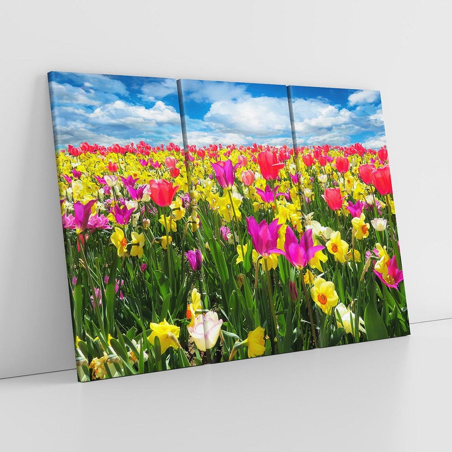 Obraz na płótnie 120x80 - tulipany na łące - kwiaty, tulipany