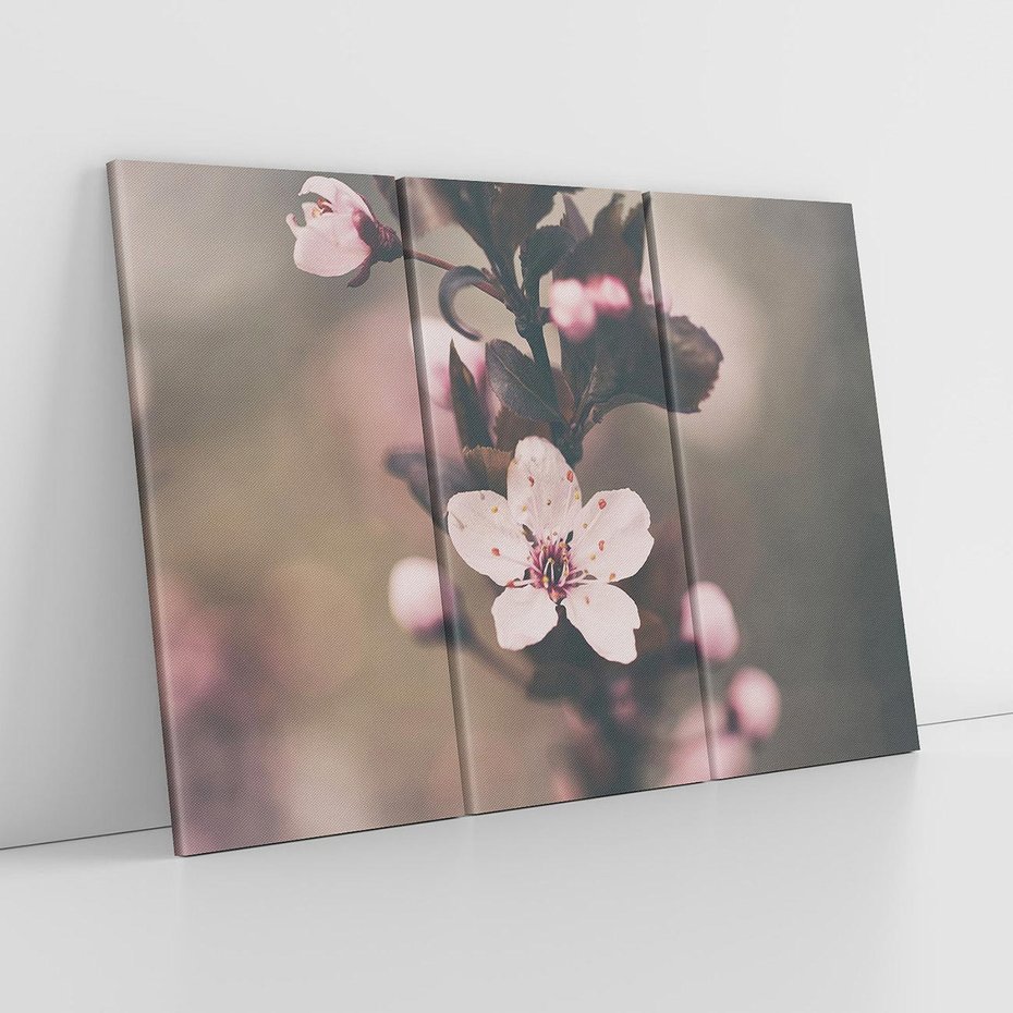 Obraz na płótnie 120x80 - Przemijający Urok - kwitnąca, wiśnia