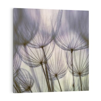 Obraz na płótnie 40x40 - Makro dmuchawiec - piękno drobnych detali - dmuchawce, makro