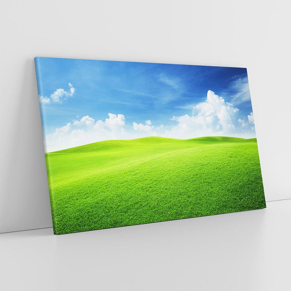 Obraz na płótnie 120x80 - Łąka pod Niebem - łąka, niebo