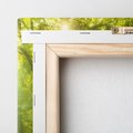 Obraz na płótnie 80x80 - drzewa w harmonii - las, drzewa