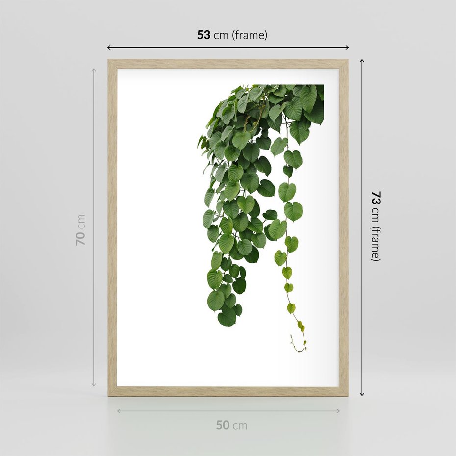 Plakat w ramie 50x70 - Świeżość Natury - liście, zielone - rama drewno