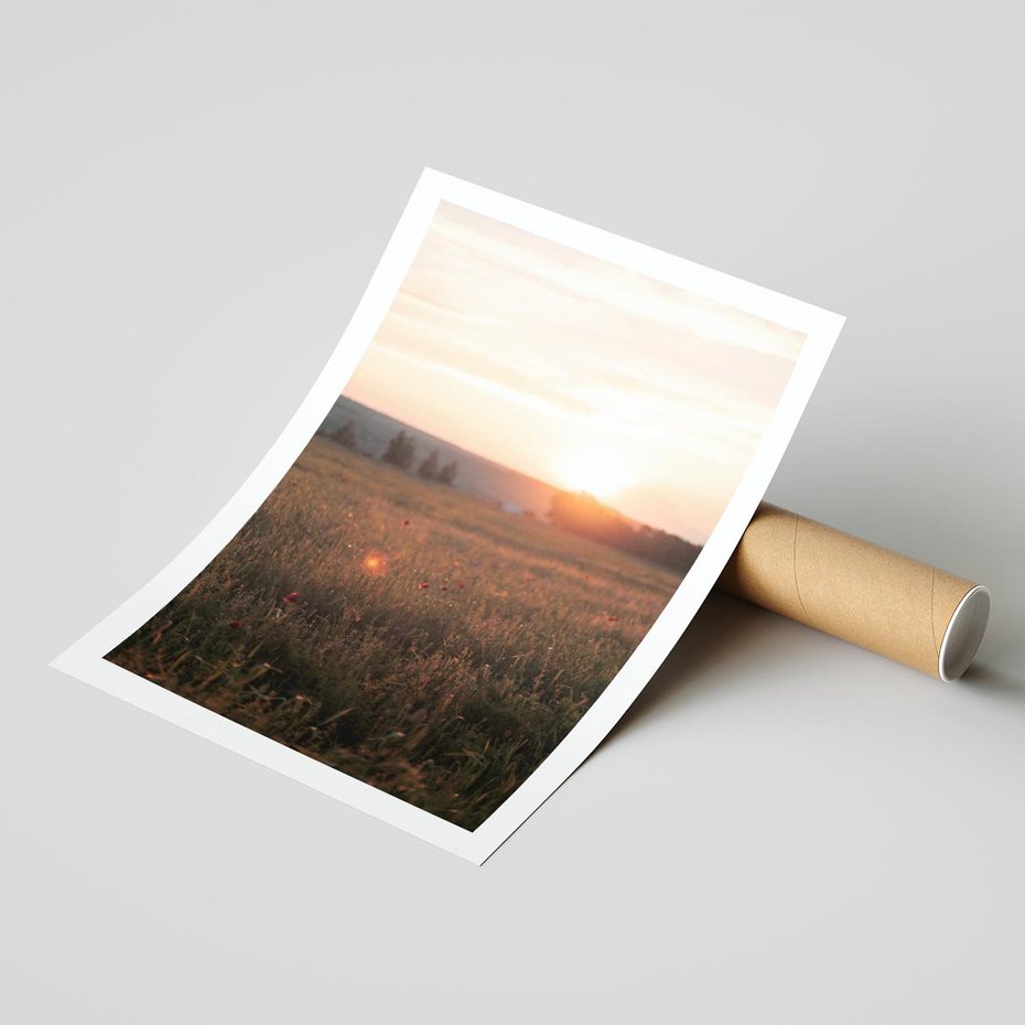 Plakat bez ramy 21x30 - Łąka we Wschodzącym Słońcu: Magia Poranka - łąka, krajobraz