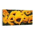 Obraz na płótnie 120x60 - promień słoneczny w kwiatowym świecie - słoneczniki, kwiat