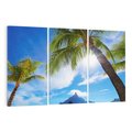 Obraz na płótnie 120x80 - Tropikalne palmy nad oceanem - palmy, ocean