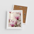 Plakat w ramie 40x50 - Urok Magnolii - magnolie, kwiaty - rama biała