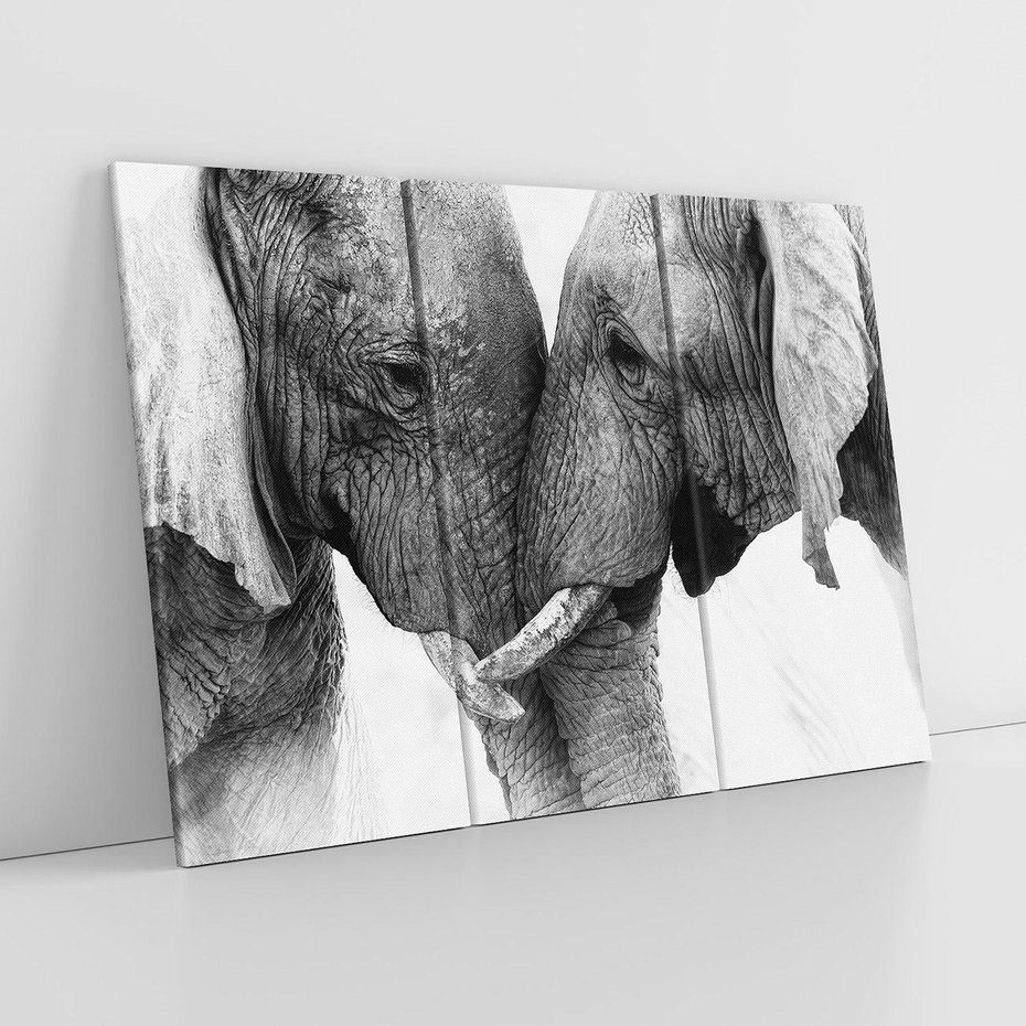 Obraz na płótnie 120x80 - Spotkanie Mądrości - fotografia czarno biała, dwa słonie