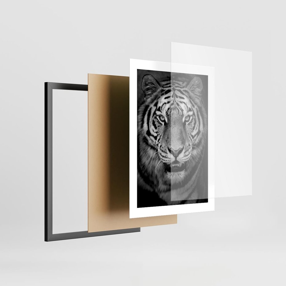 Plakat w ramie 30x40 - Tygrys Czarno-Biały: Siła i Delikatność - tygrys, czarno - rama czarna