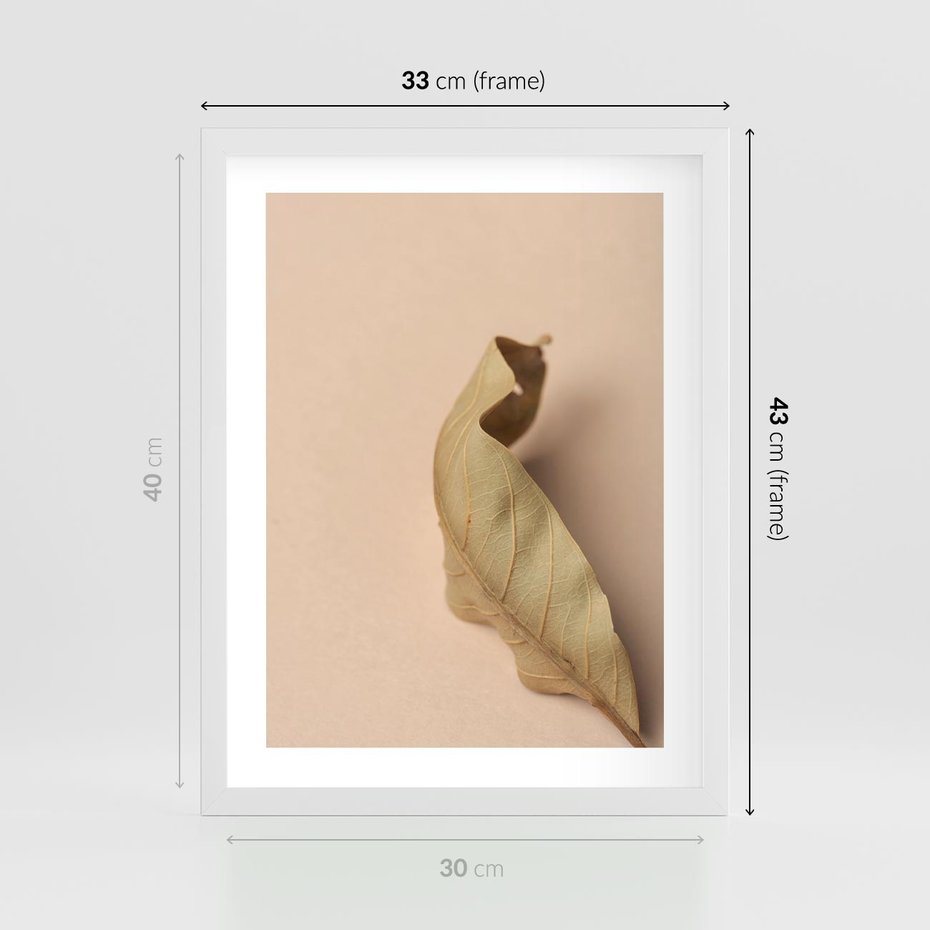 Plakat w ramie 30x40 - Boho suszone liście - suszony, liść - rama biała