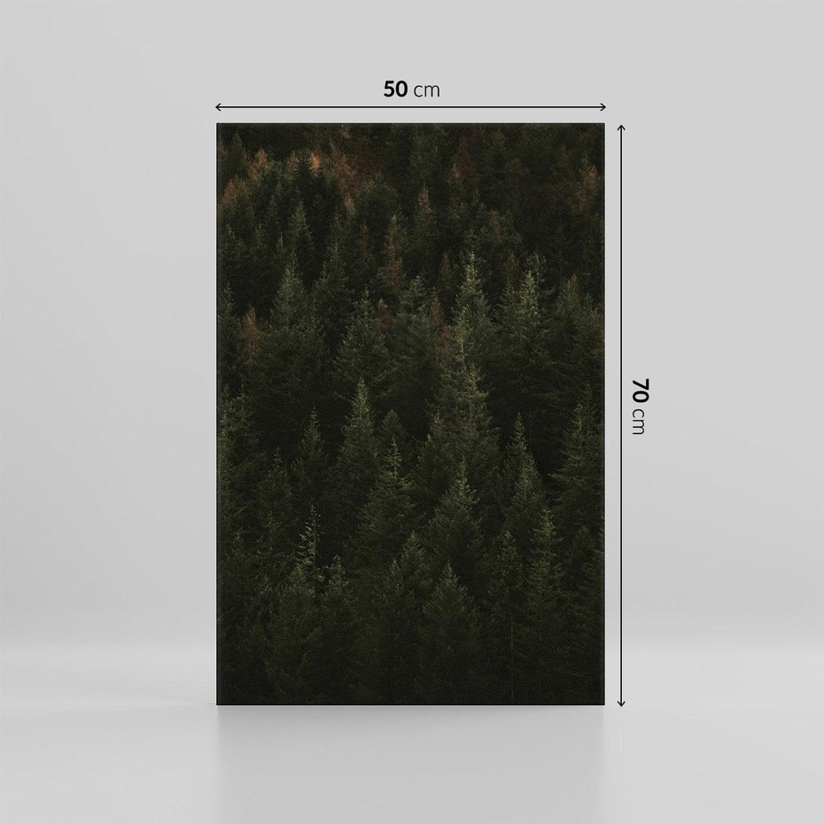 Obraz na płótnie 50x70 - Ciemny las iglasty - las, iglasty