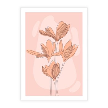 Plakat bez ramy 21x30 - Przenikające Kształty - minimalistyczny plakat, pudrowe kwiaty