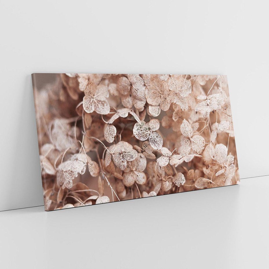 Obraz na płótnie 120x60 - Przemijająca Piękność - fotografia, zbliżenie