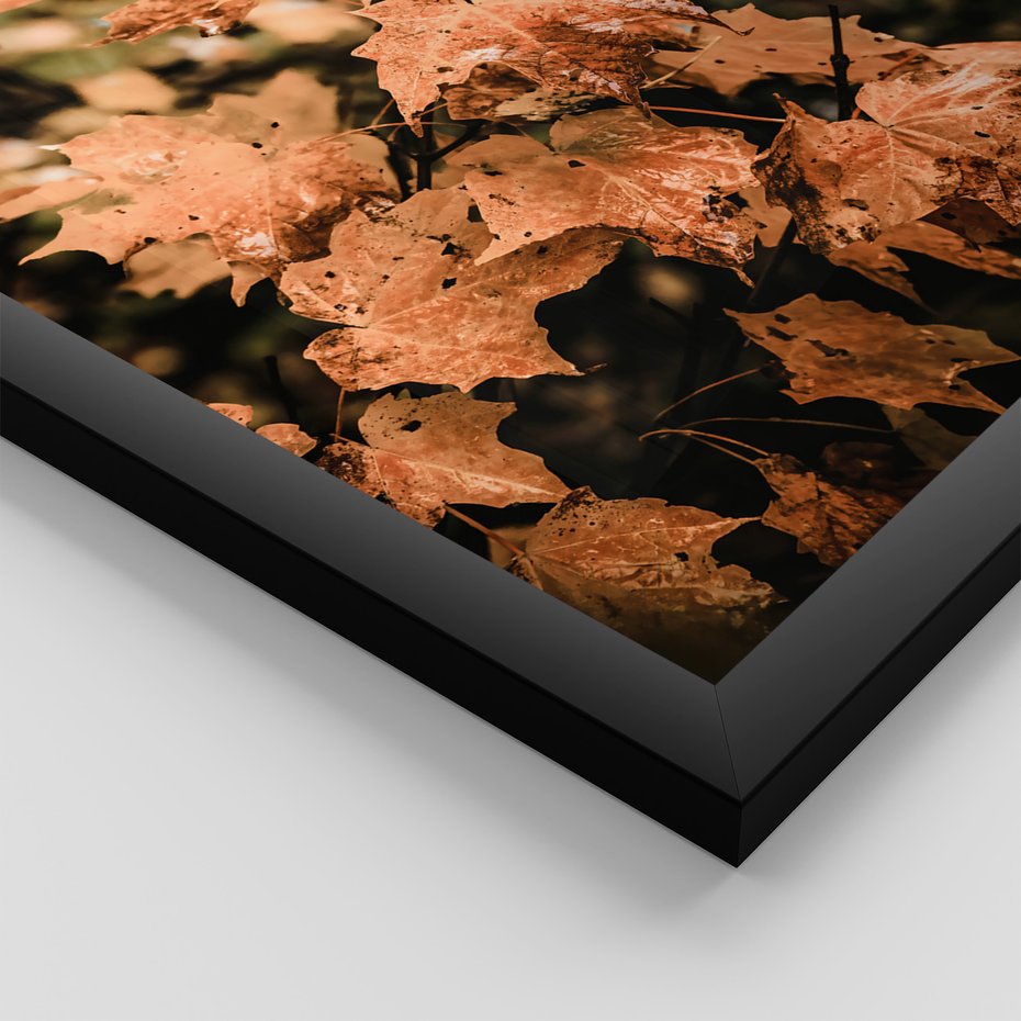 Zestaw obrazy w ramie 40x50 galeria - Jesień, liście, droga - rama czarna