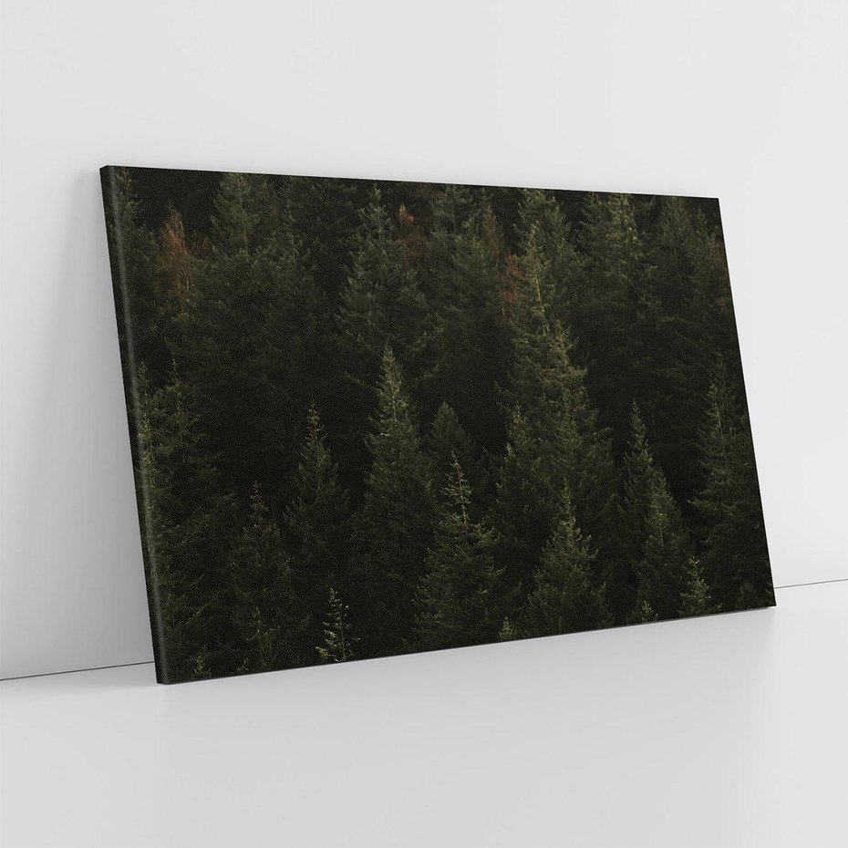 Obraz na płótnie 70x50 - Ciemny las iglasty - las, iglasty