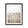 Plakat w ramie 40x50 - Nostalgiczny Pejzaż - suche trawy, pole - rama czarna