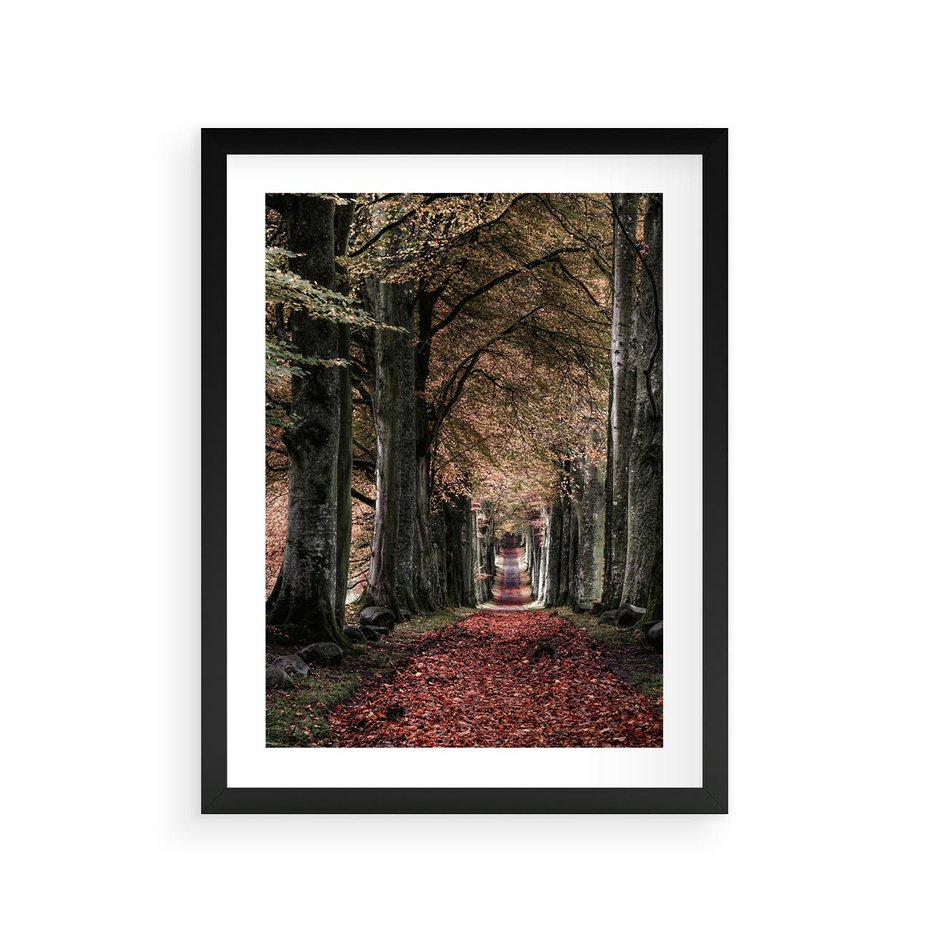 Plakat w ramie 30x40 - Spacer po Leśnej Drodze - ścieżka w lesie, jesień suche liście - rama czarna