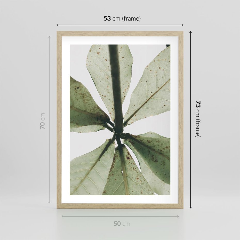 Plakat w ramie 50x70 - Jasna Zieleń w Makro - makro zdjęcie liści, jasna zieleń - rama drewno