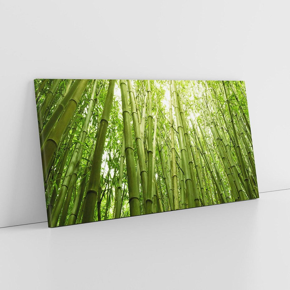 Obraz na płótnie 140x70 - Siła Natury - drzewa, las